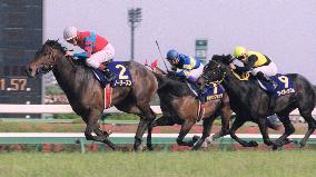 Long-shot No Reason storms to victory in Satsuki-sho